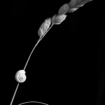 bw___Crossroads___