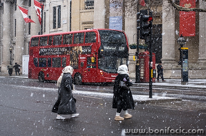 londonrx2mal