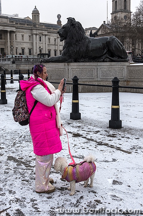 londonrx11mal