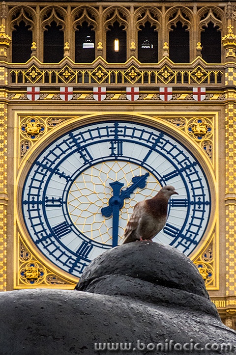 londonhx49mal