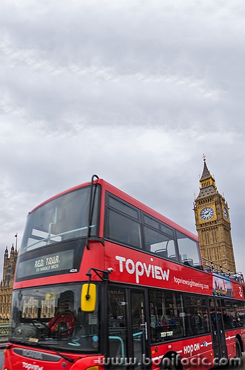 londonrx23mal