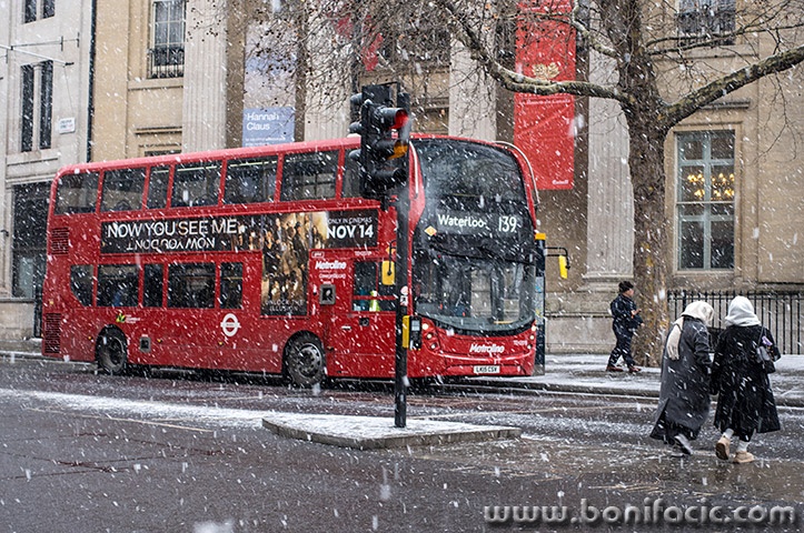 londonrx1mal