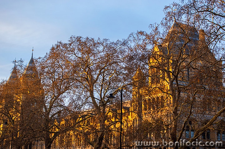 londonrx35mal