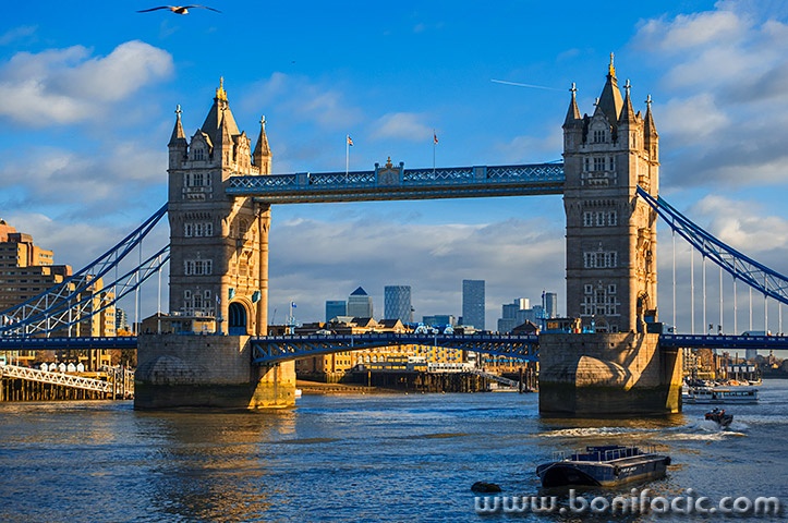 londonrx61mal