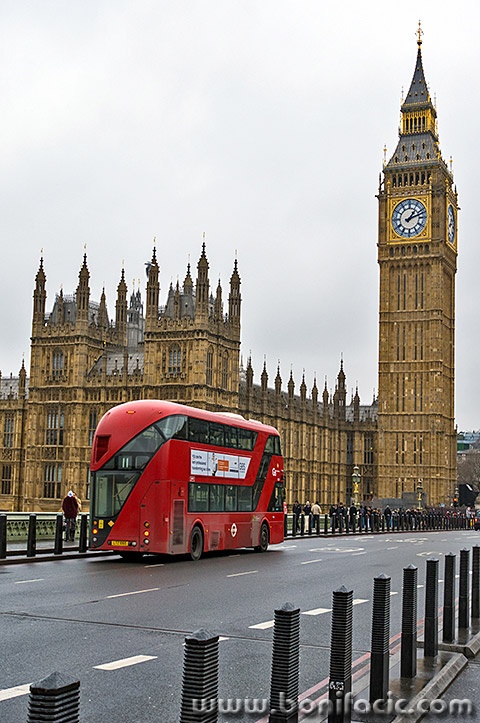 londonrx120mal