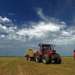 travel___Mow Day___Osijek, Croatia.