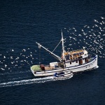 plominribaricajato1mal