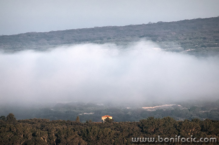 mostirzvonikmagla1mal