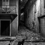 novigradmackeulicabw1mal