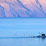 ribarskibrodsenjklenovicajatogalebi1mal