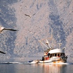 kremenikjatogalebi3mal