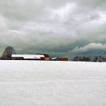 josipdolzimasnig2mal