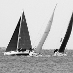regataveja3bwmal