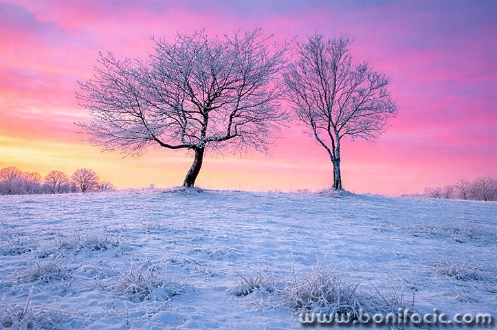 carevopoljestablasnigzora2mal