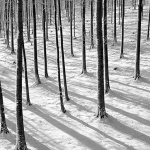 risnjaksumasnigsjenebw1mal