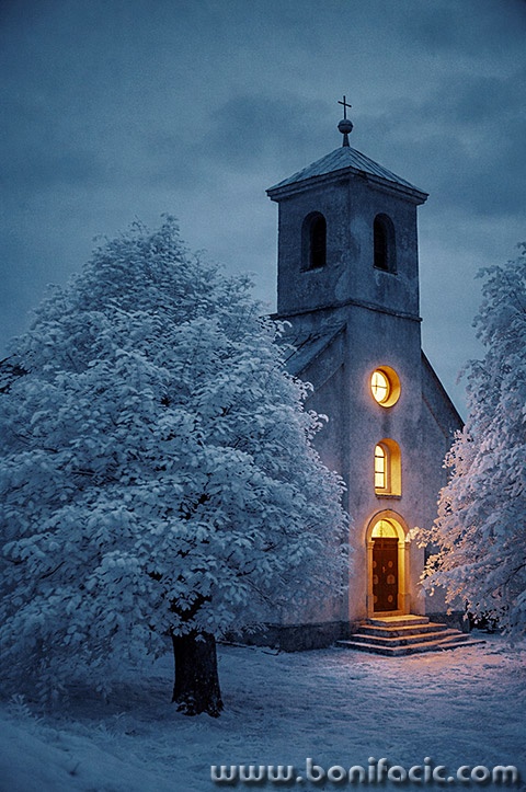 modrusircrikvanoc7mal