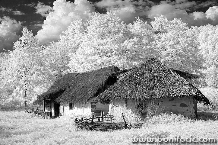 ribnikstarekuceinfrared1mal