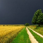 baranjaputpoljeoblak2mal