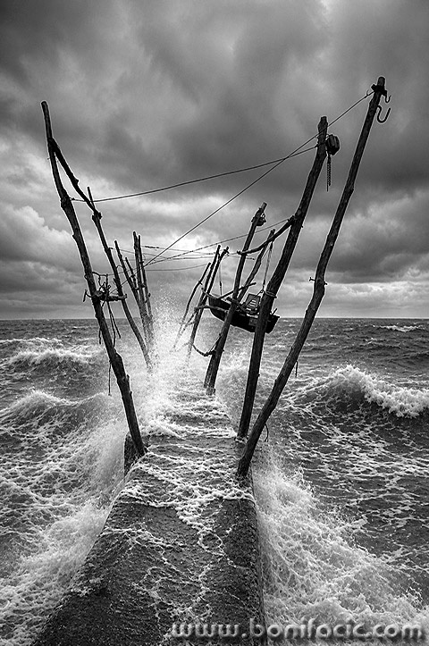 savudrija001bwmal