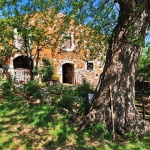 travel___Old Oak___Kapovci, Croatia.