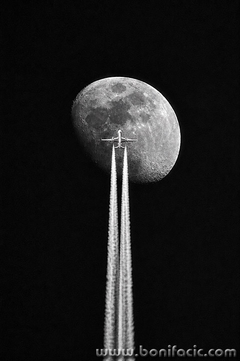 aviomooonmal