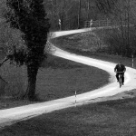 dedabicgomirje1bwmal