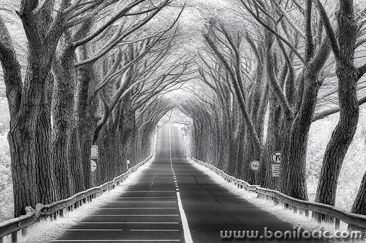 strunjaninfrared3mal