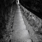 tolminskakorita12bwmal