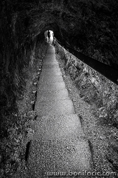 tolminskakorita12bwmal