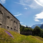 bovec33mal