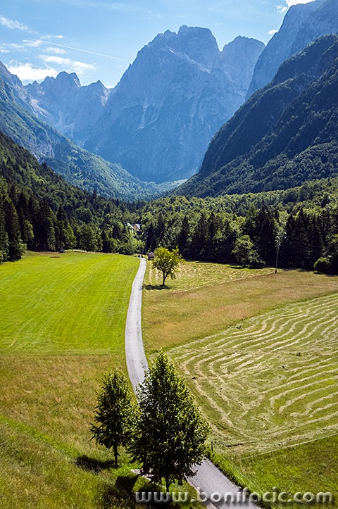 bovec27mal