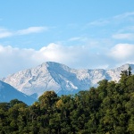 bovec16mal