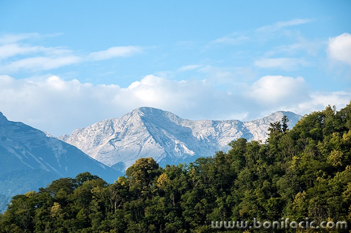 bovec16mal