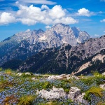 mangartpotocnice1mal