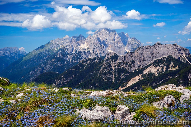 mangartpotocnice1mal