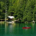 lagofusine100mal