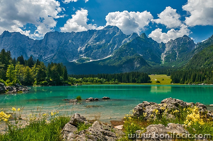 lagodifusine7mal