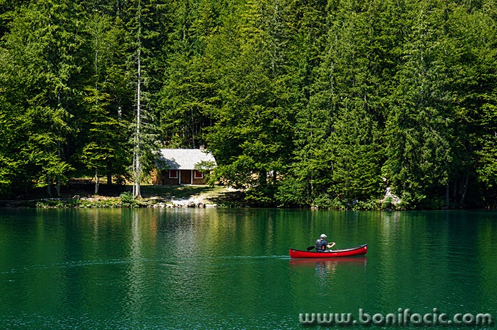 lagofusine100mal
