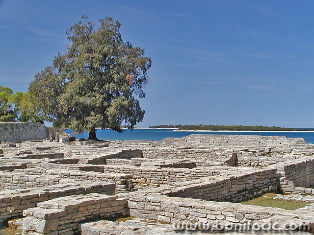 travel___Paleoanthropic___National Park Brijuni, Croatia.