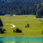 lagofusine5mal