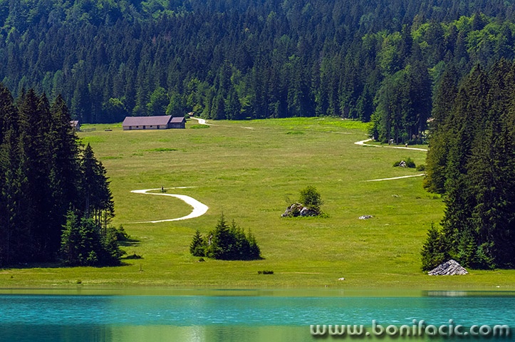 lagofusine5mal