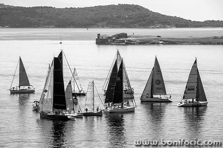 vozregata5bwmal