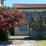 cividale301mal