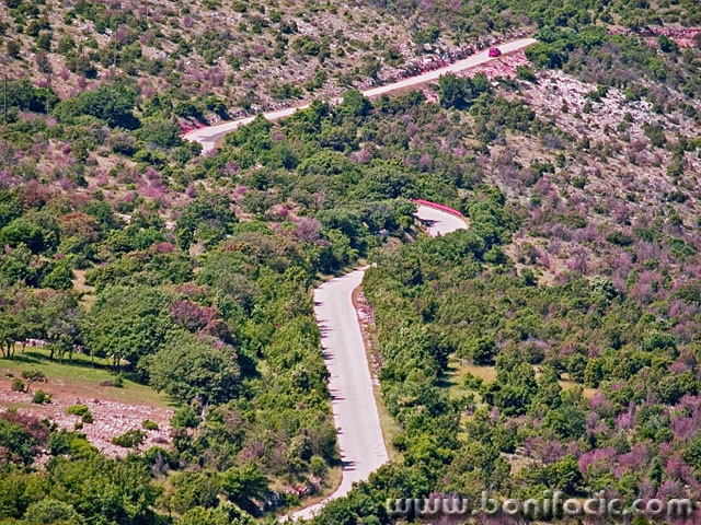 travel___Road___Cres, Croatia.