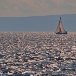 travel___Sailor___Punat, Croatia.