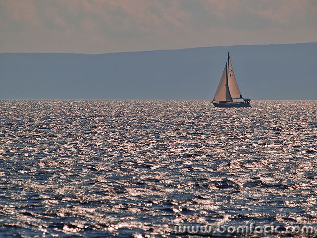 travel___Sailor___Punat, Croatia.