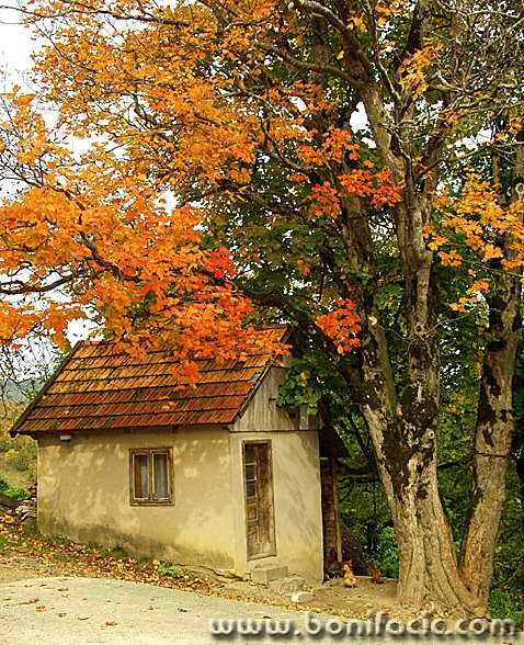 travel___Small House___Modrus, Croatia.