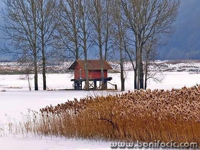 nature___Vaibility___Svica, Croatia.