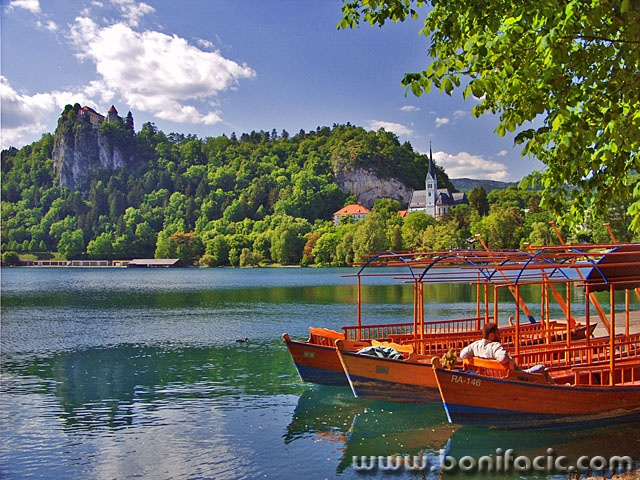 travel___Taxi___Bled, Slovenia.
