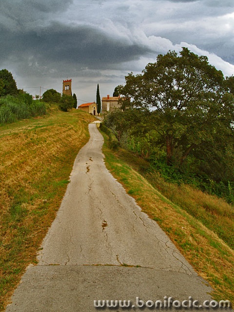 travel___The Way Of Olive Oil___Krasica, Croatia.